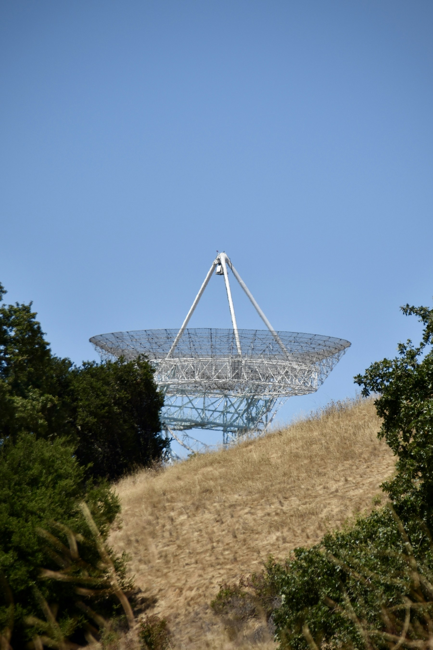 The Stanford Dish radio telescope on a Silicon Valley hillside
